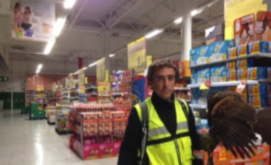 Un halconero en un supermercado