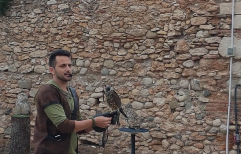 Hombre sosteniendo un halcón en una exhibición de aves rapaces frente a un muro de piedra