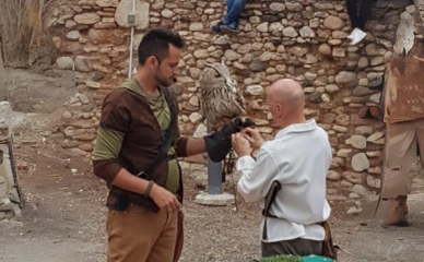 Hombre sosteniendo un halcón en una exhibición de aves rapaces frente a un muro de piedra ayudándole un compañero Halconero