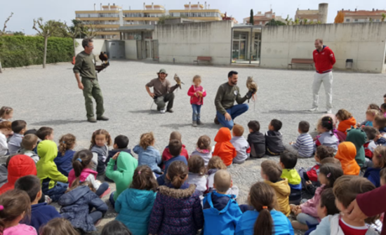 Niños observando una demostración de cetrería al aire libre